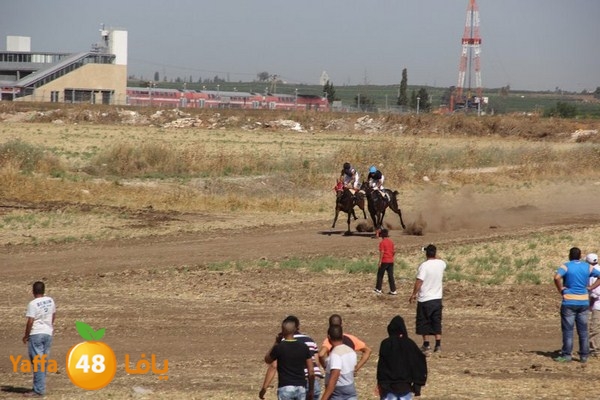 horse race 0602 (3).JPG